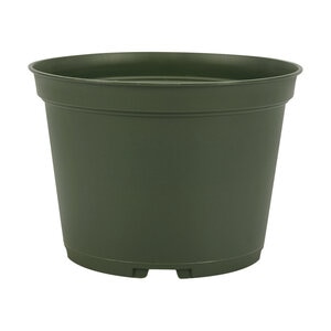 Round Azalea Pot Green 6-1/2 in. (438/case)