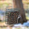 Mr. Bird Neat Feeder Cake XL