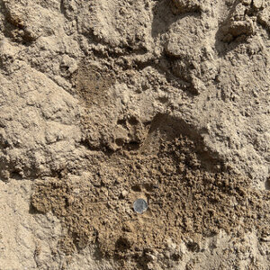 Bulk Creek Sand