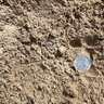 Bulk Creek Sand