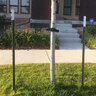 T-Post Painted 6 ft. 1-1/4 lb. w/ Spade