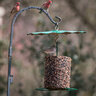 Mr. Bird Rain Guard Green 9-1/2 in.
