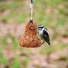 Mr. Bird Bird Food Flaming Hot Feast Bell 8 oz.