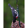 Mr. Bird Bird Food Wildbird Feast Cylinder Lg 4 lb.