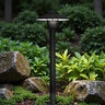 Structure and Tree Black Aluminum Area Light 5 in. Hat 13 in. Stem 3 Watt 2700K LED