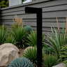 Structure and Tree Black Aluminum Modern Area Light 6.5 in. Lengtht 1' Wide 2 in. Deep 22' Tall No Lamp G4