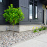 Building Stone Fond du Lac Clean Split Dimensional 2/5/7/10 Course Height