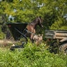 Pull Behind Spreader Steel Construction 5 Bushel/300 lb.