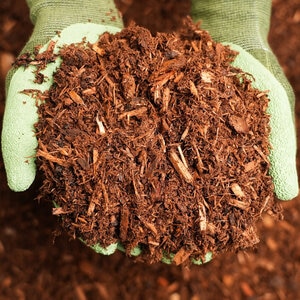 Premium Aged Hemlock Mulch Bulk (per cu. yd.)
