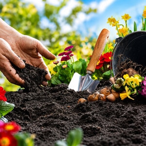 Buchanan's Tropicoir Potting Soil 1 cu. ft. Bag