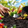 Buchanan's Tropicoir Potting Soil 1 cu. ft. Bag