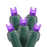 Seasonal Source 5MM 70L Purple LED Strand 4