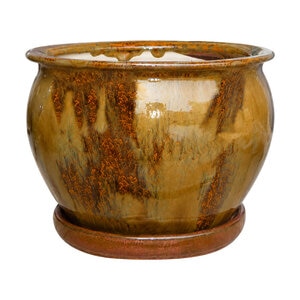 Fish Bowl Planter Ovo 12 in.