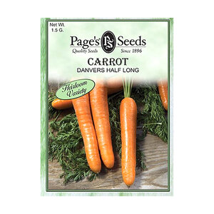 Carrot Danvers Half Long