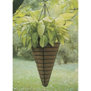 Conical Hanging Basket W/L 12 in.