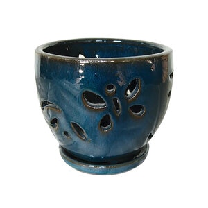 Pot Butterfly Orchid 5-3/4 in. x 4-1/2 in.