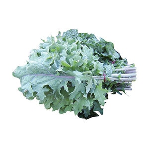 Dwarf Siberian Kale