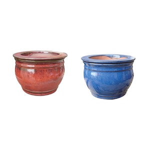 Fish Bowl Self-watering Pot Regular Color Assortment B 8 in.