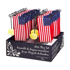 American Mini Flag