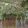 Planter Medium Euro Classic Cradle & Coco Fiber Liner Set 36 in. x 8 in. x 20 in.