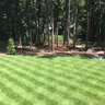 Zoysia Sod Zeon Zoysiagrass (per sq. ft.)