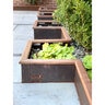 Border Concepts BORCON Guard Weathering Steel Landscape Edging 3/16 in. x 4 in. x 16 ft.