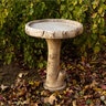 Henri Birdbath Birch
