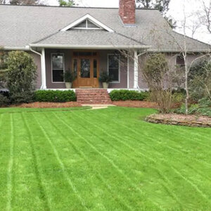 CENTIPEDE SEED (COATED) PER LB