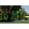 Colmet Steel Landscape Edging 10 gauge 1/8 in. x 8 in. x 10 ft.