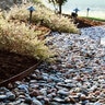 Colmet Steel Landscape Edging 10 gauge 1/8 in. x 8 in. x 10 ft.