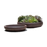 Nico Bowl Earthenware Small 13 in. x 2-3/4 in.