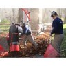 Little Wonder Truckloader, 35HP B&S Vanguard w/ Trailer