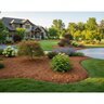 Western Red Cedar Mulch Bulk (per cu. yd.)
