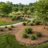 Clean Whole Wood Chips (per cu yd)