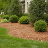 Single Shredded Cedar Mulch Bulk (per cu. yd.)