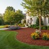 Dyed Mahogany Chip Mulch Bulk (per cu. yd.)