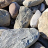 Palletized River Rock Pennsylvania Blend 5 - 8 in.