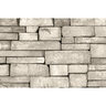 Foster Rock Veneer Classic Ledgestone Ivory flats handi-pak ( 10 sq. ft./box)