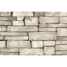 Foster Rock Veneer Classic Ledgestone Ivory flats big box (100 sq. ft./box)