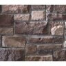 Foster Rock Veneer Ledgestone Weatherface flats big box (100 sq. ft./box)