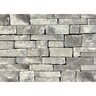 Foster Rock Veneer Ledgestone Black Ice flats handi-pak ( 10 sq. ft./box)