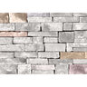 Foster Rock Veneer Ledgestone Niagra flats big box (100 sq. ft./box)