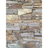 Sawn Thin Veneer Marbella Schist Flats