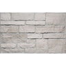 Building Stone Fond Du Lac Stone Ridge Random Height 2 - 9 in.
