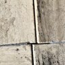 Dimensional Terra Strata Limestone Vein Cut Tumbled 1 3/16 in. x 6 in. x 6 in.