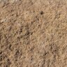 Outcropping Maple Gold Limestone Ledge Rock 14 in.