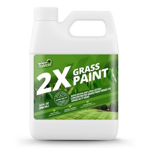 Not Rocket Sciences 2X Grass Paint Turf Colorant Liquid Colorant 32 fl oz. Jug
