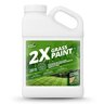 Not Rocket Sciences 2X Grass Paint Turf Colorant Liquid Colorant 128 fl oz. Jug