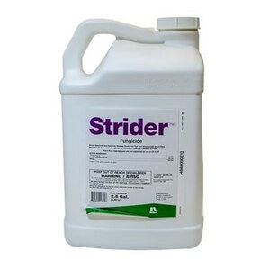 Strider Fungicide 2.5 gal.