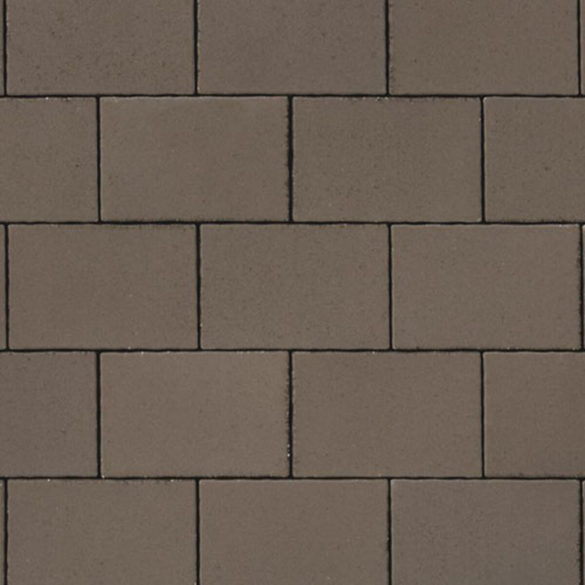 Oaks Montebello Paver Small Rectangle Umber 8 in. x 12 in. x 7 cm (104 ...
